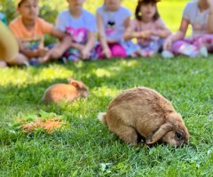 whatsapp%20image%202025-10-07%20at%2012.35.58%20(4).jpeg whatsapp%20image%202025-10-07%20at%2012.35.58%20(4).jpeg