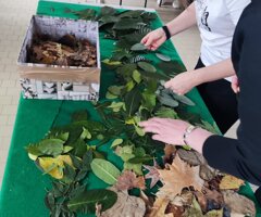 whatsapp%20image%202025-06-10%20at%2022.44.28.jpeg whatsapp%20image%202025-06-10%20at%2022.44.28.jpeg