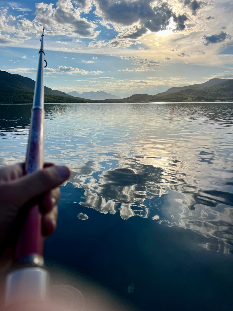 whatsapp image 2026-02-01 at 11.38.27 (2).jpeg