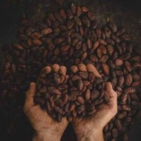 cf6424f50c028e72b94bdd0471593a48761405a4 cf6424f50c028e72b94bdd0471593a48761405a4