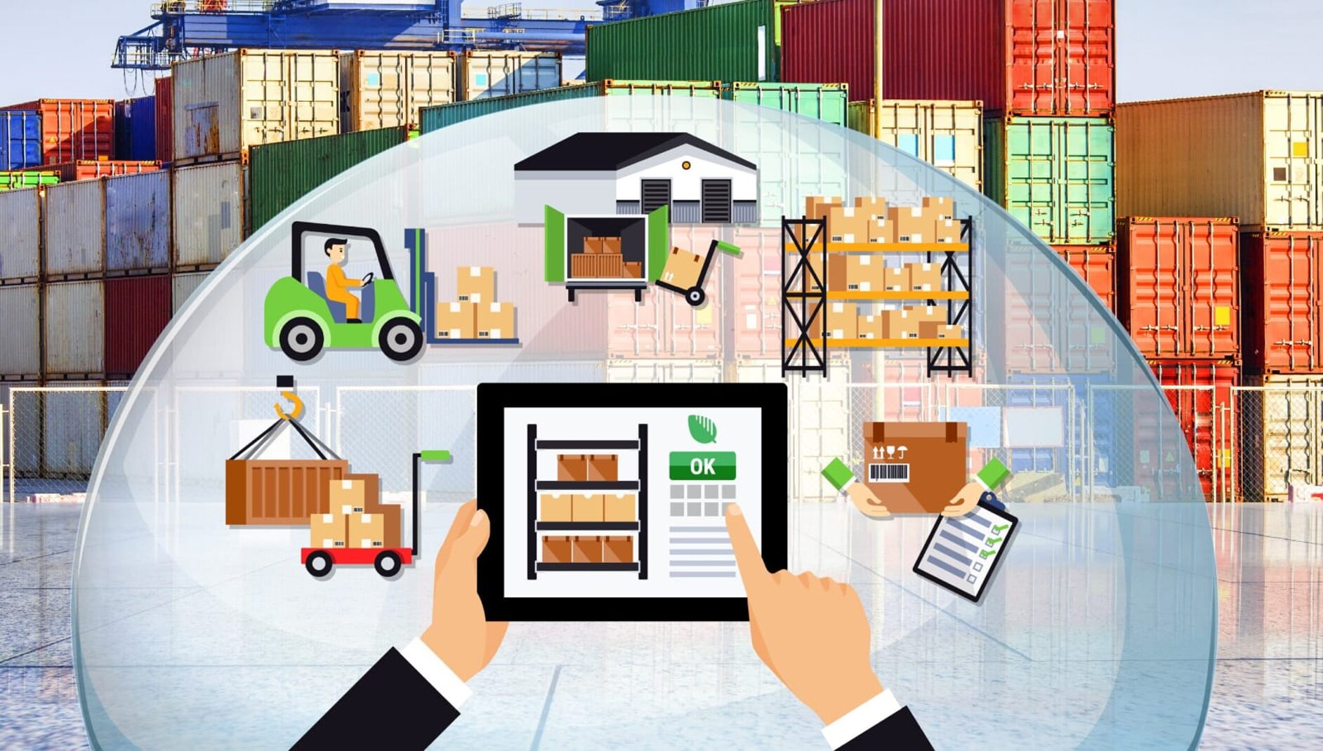 immagine whatsapp 2025-08-07 ore 16.44.44_2143c410.jpeg