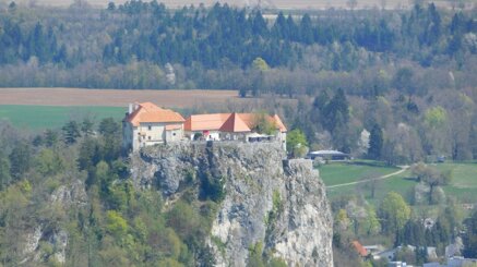 2b55a8099021275a1a07ebe5b9cc456c023ed61d