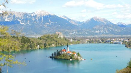 3e2480eea9c417402c1b8cb04b30df6c4c36c0d8