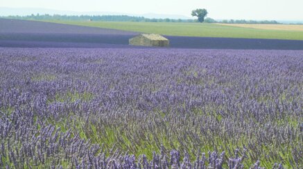 54780151050f50a823549674cc84aff1acff5f06