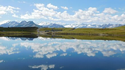 627d633a59a41c0c314ee5ff21bc7225c0e76280