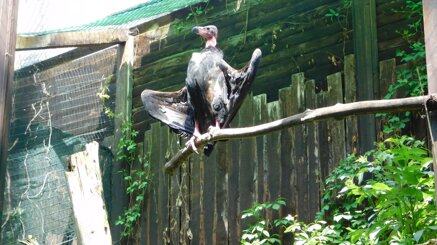 70cbc898c7c1c20b4359c88441ea88f3105e8461 70cbc898c7c1c20b4359c88441ea88f3105e8461