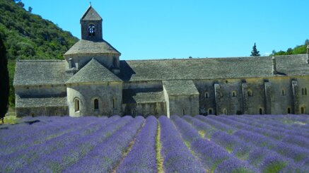 aaf4ba962aa37b3f33f3e851d2ff8b272965a8d9