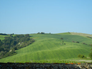 2015 - Val d'Orcia e Chianti