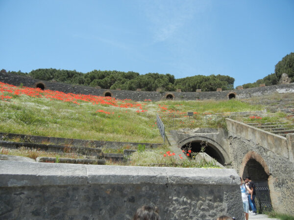 dscn4691.jpeg Pompei