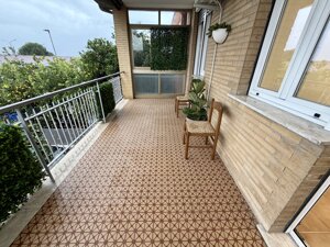 img_0107.jpeg img_0107.jpeg