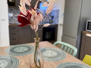 img_0120.jpeg img_0120.jpeg