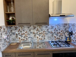 img_0118.jpeg img_0118.jpeg