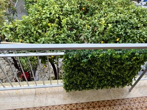 img_0114.jpeg img_0114.jpeg