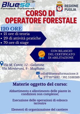2b29b1efeb7df2945d861f397a58794bb4ee5c4f