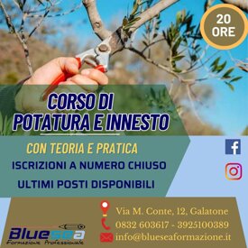 e86c4fb576f0595c9a4a9d40c6b3c797056e79b8