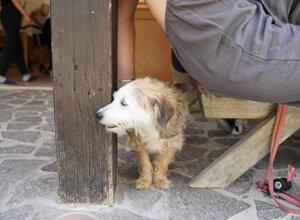 129-dsc05154.jpeg