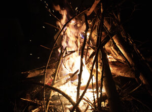 205-dsc05442.jpeg