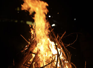 206-dsc05452.jpeg