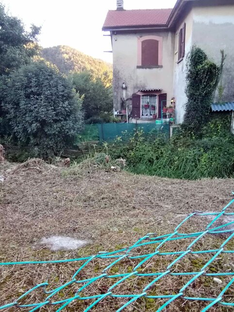 54f1517e-afbc-4d79-a573-0553e2bdf592.jpeg