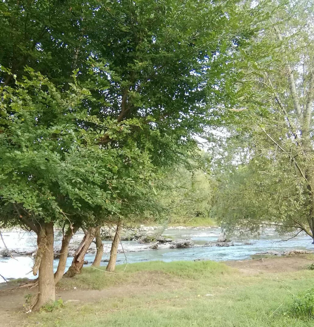 serio oasi verde 12 sito.jpeg