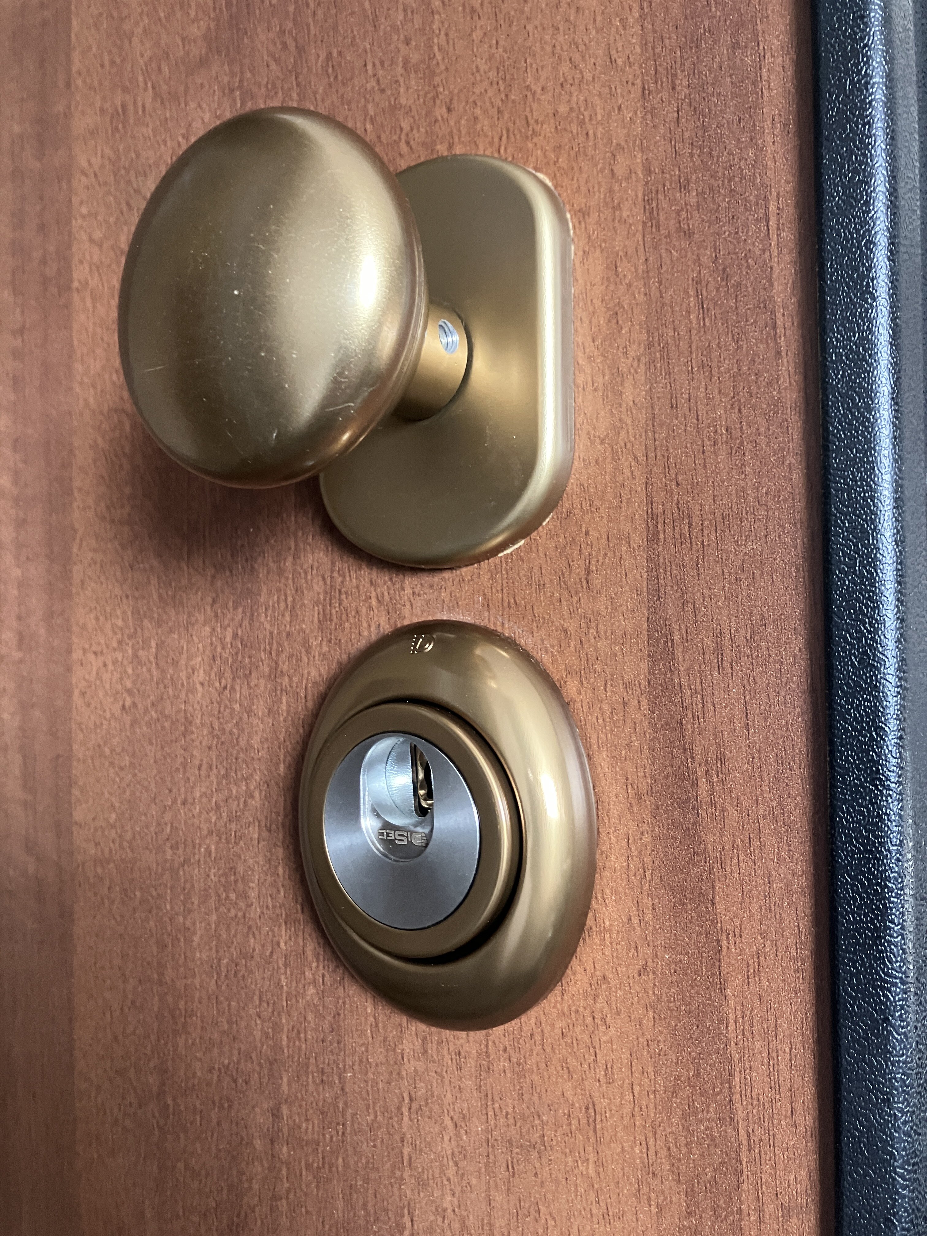 Defender Magnetico con cilindro Evva 4KS Defender Magnetico con cilindro Evva 4KS