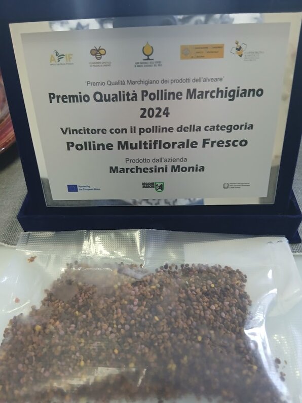 targa_vittoria_polline_24.jpeg targa_vittoria_polline_24.jpeg
