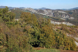 4b6cd20d37af9042041e92273f69730a350d213a