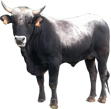 67fdc960e775cabe91a85353d5760d699a2290e6