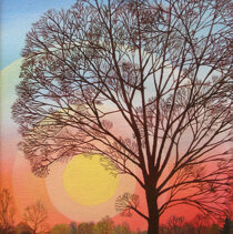 Quercia Olio su tela 30x40 - 1999