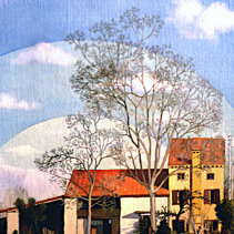 Alberi con casa colonica Olio su tela di juta 40x50 - 2000