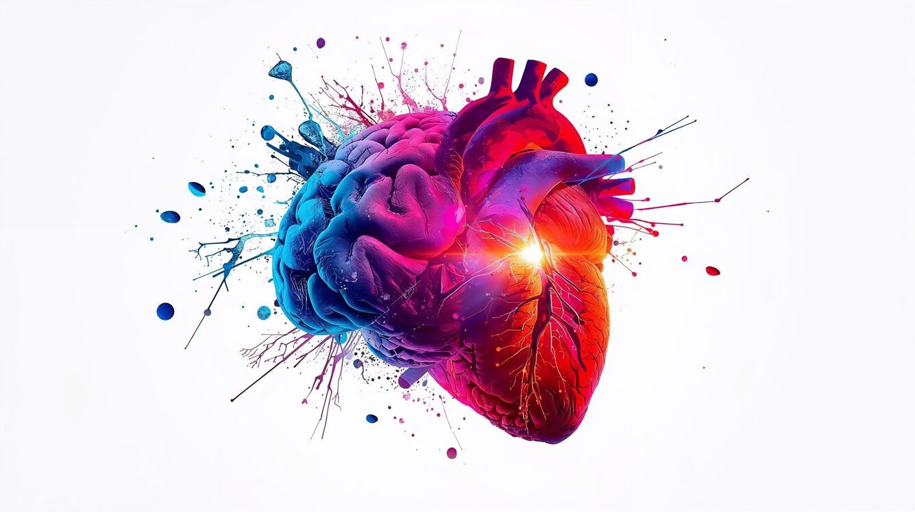 cervello che si trasforma in cuore, sfondo bianco.jpeg cervello che si trasforma in cuore, sfondo bianco.jpeg