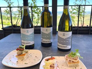 Primo piano della bottiglia di Roero Arneis DOCG della nostra linea MAXIMA