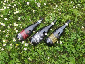 Primo piano della bottiglia di Barolo DOCG della nostra linea MAXIMA Primo piano della bottiglia di Barolo DOCG della nostra linea MAXIMA