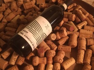 Primo piano della bottiglia di Gavi DOCG del Comune di Gavi della nostra linea MAXIMA