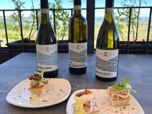 Primo piano della bottiglia di Gavi DOCG del Comune di Gavi della nostra linea MAXIMA