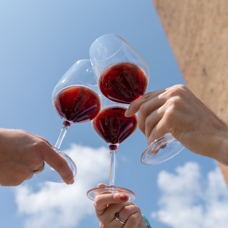 Brindisi con calici di vino MAXIMA tra persone a Barbaresco Brindisi con calici di vino MAXIMA tra persone a Barbaresco