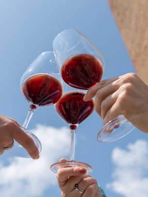 Brindisi calici MAXIMA Brindisi con calici di vino MAXIMA tra persone a Barbaresco