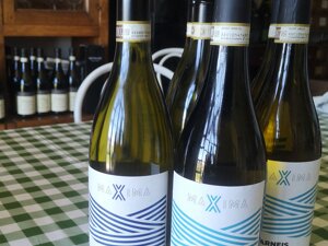 Primo piano della bottiglia di Roero Arneis DOCG della nostra linea MAXIMA