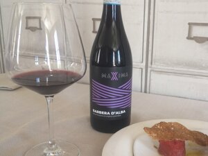Primo piano della bottiglia di Barbera d'Alba DOC della nostra linea MAXIMA