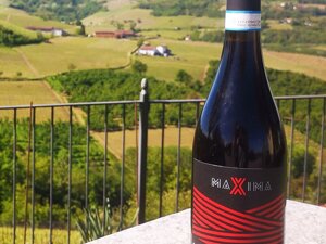 Primo piano della bottiglia di Langhe DOC Nebbiolo della nostra linea MAXIMA