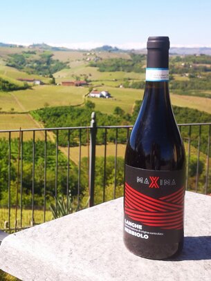 Bottiglia MAXIMA colline Barbaresco Bottiglia MAXIMA nel paesaggio collinare di Barbaresco