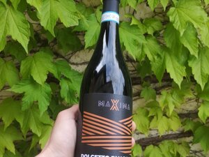 Primo piano della bottiglia di Dolcetto d'Alba DOC della nostra linea MAXIMA Primo piano della bottiglia di Dolcetto d'Alba DOC della nostra linea MAXIMA