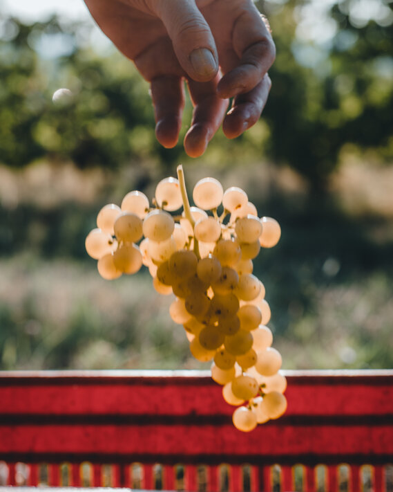 ad4f9e40-a9f5-445d-bdaf-febddbfdb6e0 ad4f9e40-a9f5-445d-bdaf-febddbfdb6e0