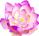 55b1020d045cf78b132ebb3293ff1b858418c8d5