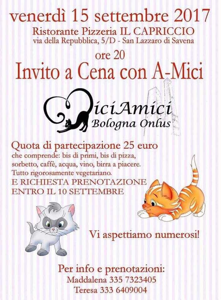 185c6f5a11716296bfc49b8bb5b81e060f7d52a4