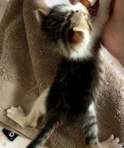 3f4085290e34f5a6ba836592e803b3cdce5e90af