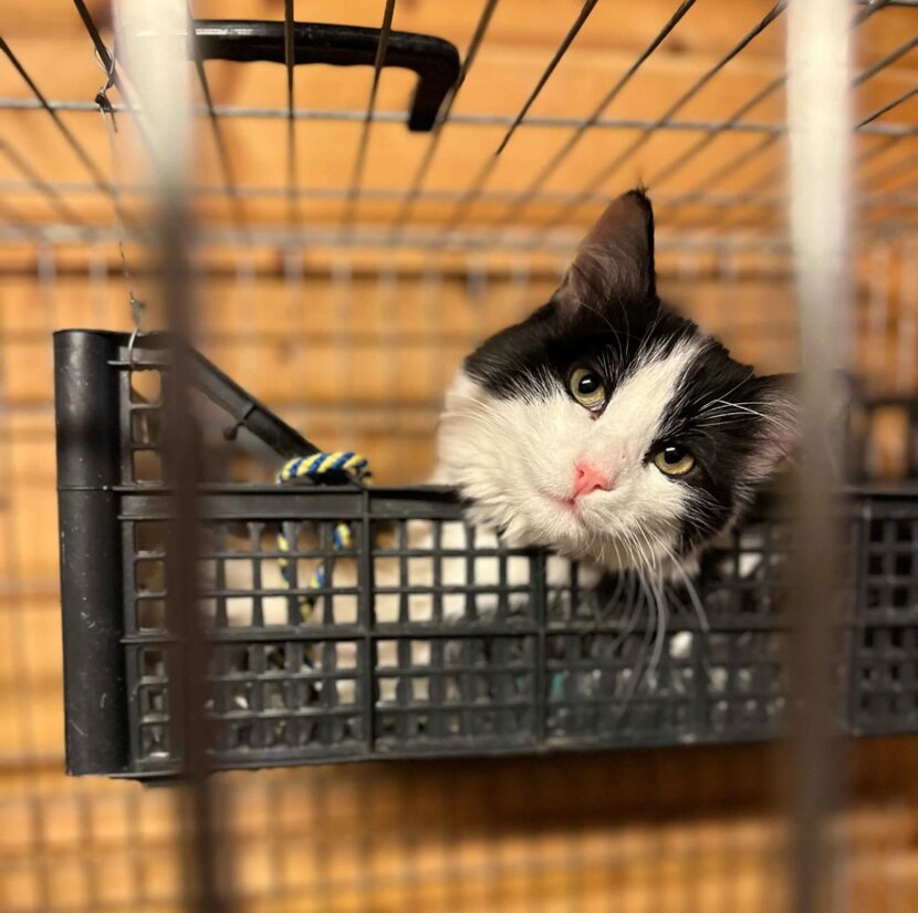 587150d26ed6aeb1f520c37288fb05cb6a08d6c3 587150d26ed6aeb1f520c37288fb05cb6a08d6c3