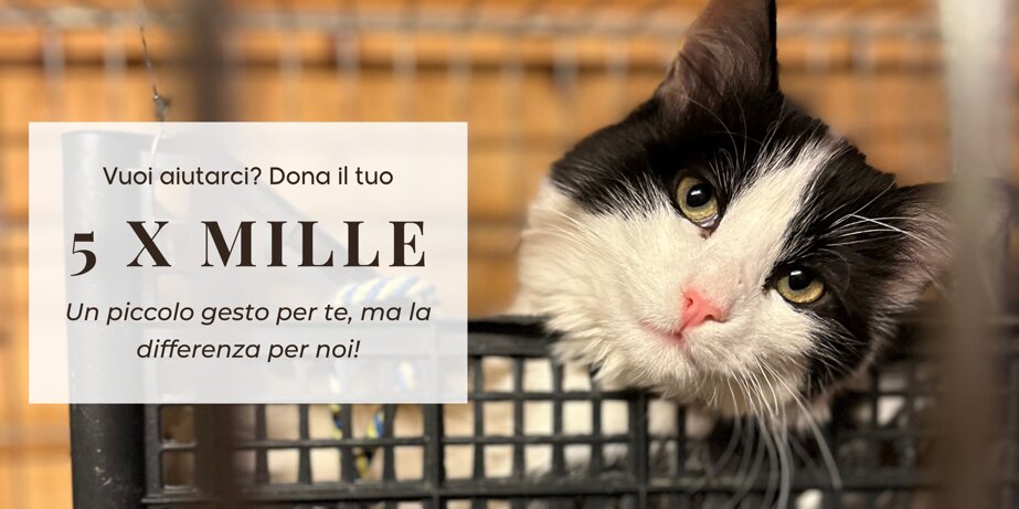 9af7c5138b6a2e887e05a25caa2e8d2d8bfddd0d