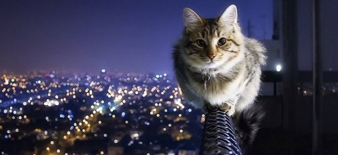 cad53badc0fdeace086f9ccd7e12454f83b25c4c