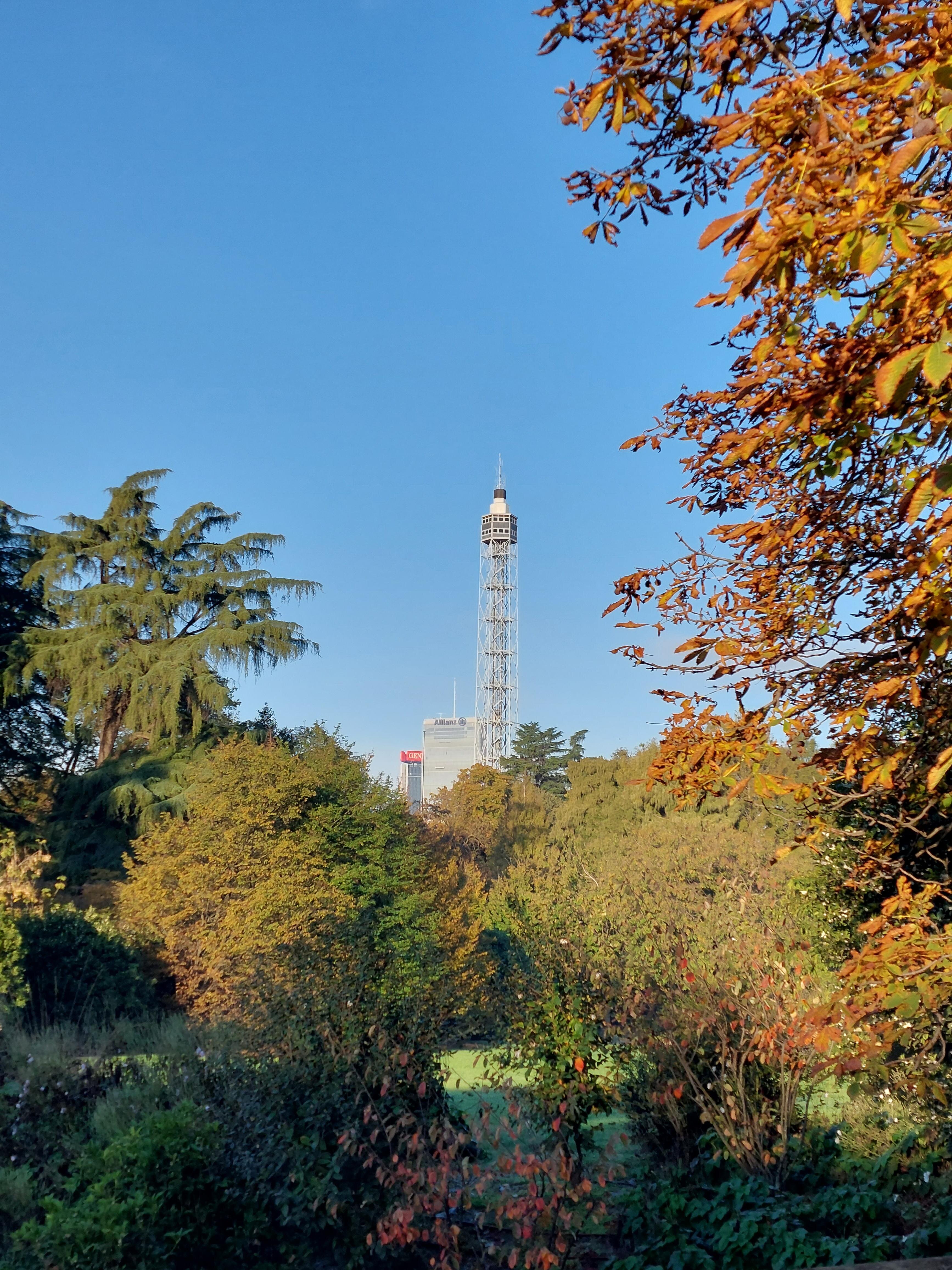 Autunno a Milano e il Foliage